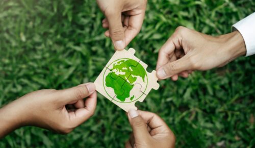 export-compliant-environmentally-sustainable