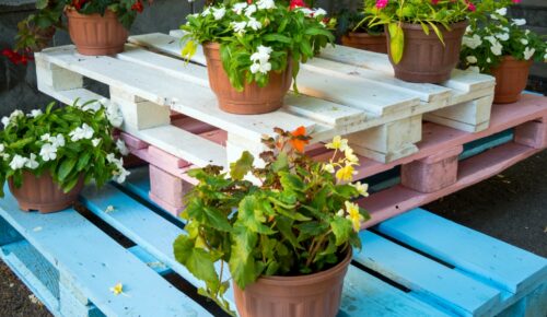 same-but-new-and-trendy