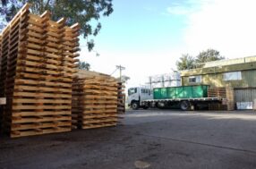 Compliance & Sustainability