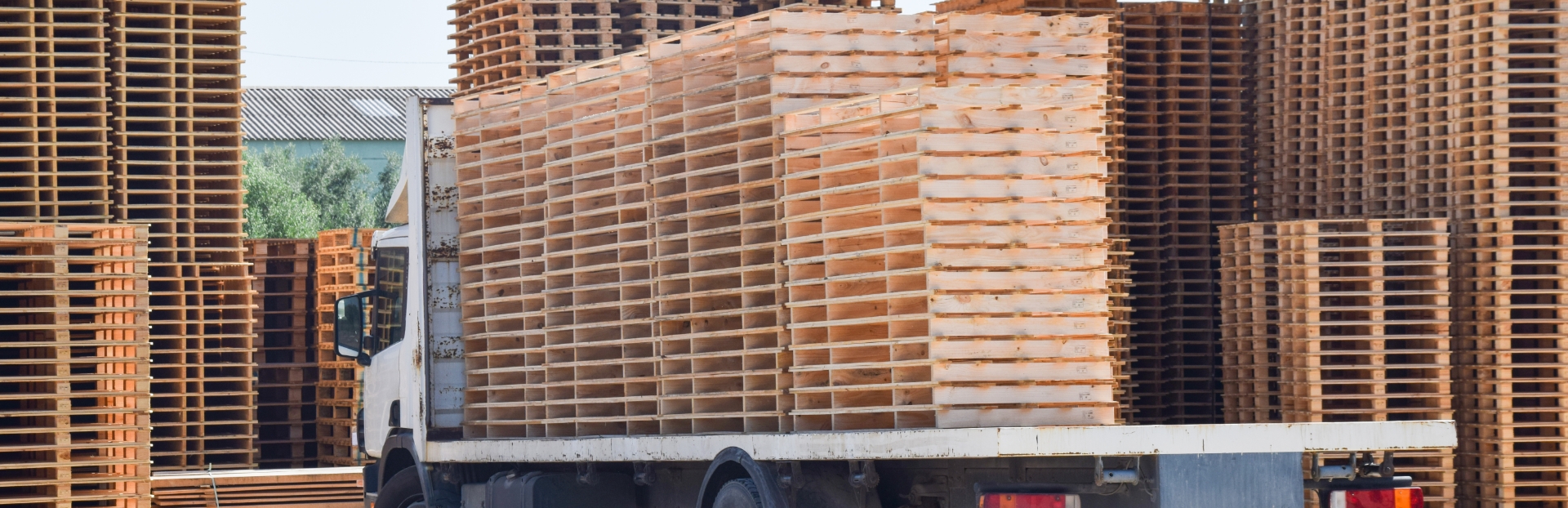 eco-friendly-production-waste-minimisation