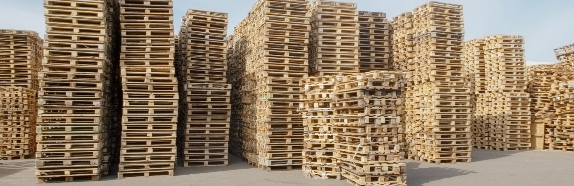 strength-efficiency-testing-banner