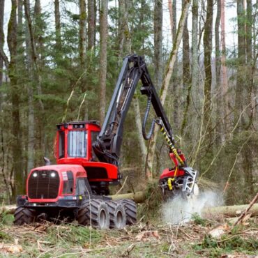 Sustainable Timber Sourcing (AS 4708)